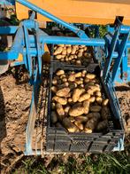 Nieuwe aardappelen, Diversen, Levensmiddelen, Ophalen of Verzenden