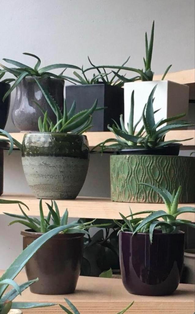 Vintage bloempotten diverse stijlen bio kamerplanten lucht, Tuin en Terras, Bloempotten, Zo goed als nieuw, Overige materialen