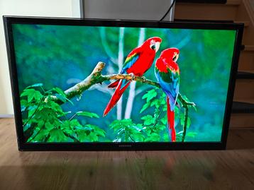 Samsung 51 inch Full HD incl muurbeugel TEAB beschikbaar voor biedingen