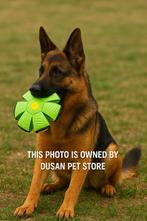 Groene & Rode UFO Springbal Perfect voor energieke honden!, Dieren en Toebehoren, Frederik hendrikstraat 124, Nieuw, Ophalen of Verzenden