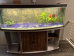 Aquarium, Ophalen of Verzenden, Zo goed als nieuw, Leeg aquarium
