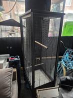 Vogel kooi, Dieren en Toebehoren, Ophalen, Gebruikt, Metaal, Vogelkooi