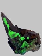 De bizarste Opalen die ik ooit gevonden heb, nu te koop, Ophalen, Mineraal