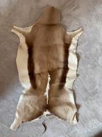 Springbok huid zga nieuw, Ophalen of Verzenden, Zo goed als nieuw, Rechthoekig, 50 tot 100 cm