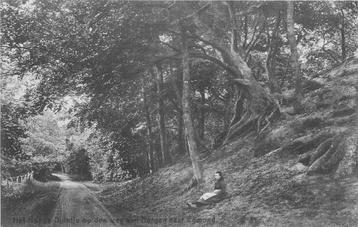 (388-087-009) Bergen (NH) Het hooge duintje beschikbaar voor biedingen