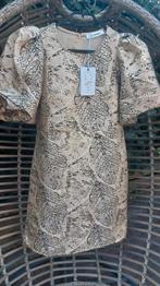Co couture jurkje maat xs  kleur zwart goud beige, Kleding | Dames, Jurken, Zwart, Nieuw, Ophalen of Verzenden, Maat 34 (XS) of kleiner