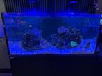 RedSea Reefer max 425 g2+, Ophalen, Zo goed als nieuw