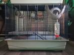 Rattenkooi Savic Freddy 2 - Nette Schone Kooi - B80xD50xH63, Dieren en Toebehoren, Knaagdieren en Konijnen | Hokken en Kooien