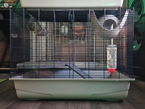 Rattenkooi Savic Freddy 2 - Nette Schone Kooi - B80xD50xH63, Dieren en Toebehoren, Knaagdieren en Konijnen | Hokken en Kooien