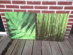 Set Canvas Tuin posters 50x50 cm, Ophalen of Verzenden, Zo goed als nieuw