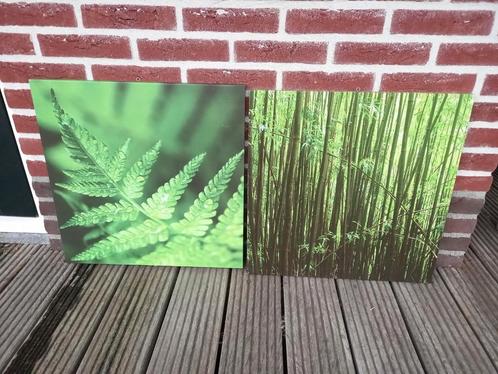 Set Canvas Tuin posters 50x50 cm, Tuin en Terras, Tuinwanddecoratie, Zo goed als nieuw, Ophalen of Verzenden