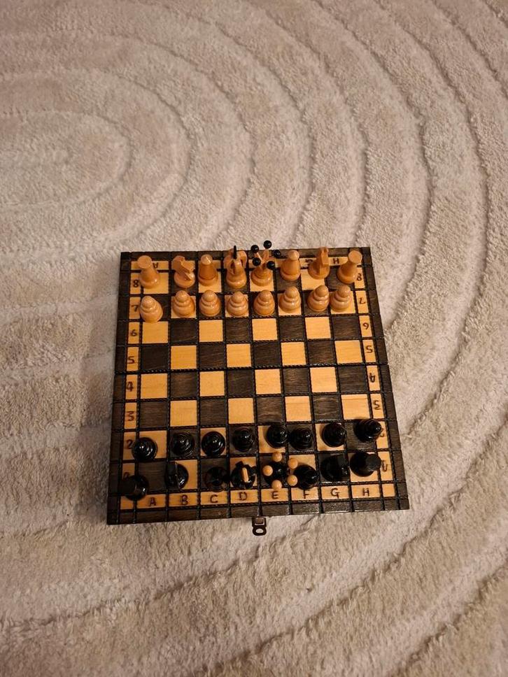 Uniek Schaakspel - Reisformaat, Hobby en Vrije tijd, Gezelschapsspellen | Bordspellen, Zo goed als nieuw, Een of twee spelers