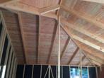 Douglas Balken 5 x 15 x 300 € 14,40 p.st, Ophalen, Nieuw, Hardhout, 250 cm of meer