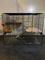 Hamster kooi, Dieren en Toebehoren, Knaagdieren en Konijnen | Hokken en Kooien, Kooi, Gebruikt, Minder dan 75 cm, Hamster