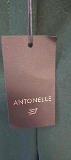 Nieuwe Antonelle broek, maat 42, -, -, Nieuw, Ophalen of Verzenden
