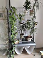 Verrijdbaar rek - plantenrek - roomdivider, Ophalen, Gebruikt, Overige typen, Metaal