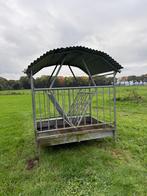 Te koop weideruif, Weidegang, 4 paarden of pony's of meer