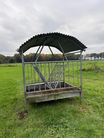 Te koop weideruif beschikbaar voor biedingen