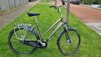 Pachtige Giant Futuro damesfiet maat L, Ophalen of Verzenden, Gebruikt, Minder dan 10 versnellingen, Giant