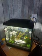 Aquarium kompleet, Ophalen