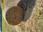 Kleine ronde stro balen, Dieren en Toebehoren, Dierenvoeding, Ophalen, Vee