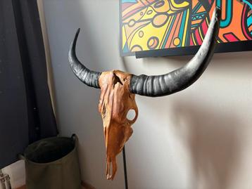 Houten schedel met hoorns - hangend of op standaard beschikbaar voor biedingen