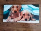 Foto honden op licht houten frame (soort canvas), Ophalen, Gebruikt, Wanddecoratie
