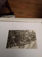 ROCKANJE   in het. LIEZENPUTLAANTJE, Verzamelen, Ophalen of Verzenden, Voor 1920, Zuid-Holland