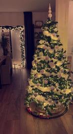 Kerstboom, Ophalen of Verzenden