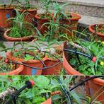 Druppelslang - waterpomp - waterslang - tuin, Tuin en Terras, Druppelsystemen, Ophalen of Verzenden, Nieuw