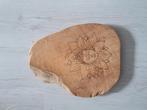houten plank met afbeelding boeddha op lelie, Huis en Inrichting, Ophalen