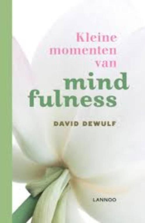 Kleine momenten van mindfulness David Dewulf 9789020942101, Boeken, Psychologie, Zo goed als nieuw, Sociale psychologie, Ophalen of Verzenden