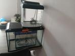 Aquariums, Dieren en Toebehoren, Ophalen, Gebruikt, Leeg aquarium