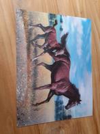 Placemat paarden, Ophalen