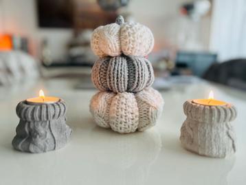 Gezellige Herfstdecoratie: Pompoenen beschikbaar voor biedingen