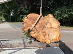 Unieke stamvoet japanse sierkers., Antiek en Kunst, Kunst | Beelden en Houtsnijwerken, Ophalen of Verzenden