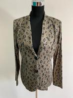 Jas43 - Groen Angelle Milan jasje maat L (1), Ophalen of Verzenden, Zo goed als nieuw, Maat 38/40 (M), Groen