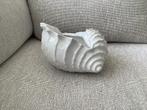 Mooie grote schelp, Huis en Inrichting, Woonaccessoires | Schalen en Manden, Ophalen, Zo goed als nieuw, Rond