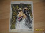 NIEUW Voorbedrukt stramien Collie. Verkoop ook DMC garens, Ophalen of Verzenden, Nieuw, Handborduren, Onderdeel of Toebehoren