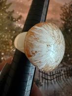 Zsiska Ring - Maat L, Sieraden, Tassen en Uiterlijk, Ringen, 18 tot 19, Kunststof, Verzenden, Beige