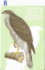 Ansichtkaart Vogels in Nederland Havik Roofvogel ( B3934), Verzenden, 1980 tot heden, Ongelopen