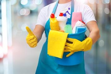 Gevraagd: Schoonmaakster beschikbaar voor biedingen