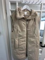 H&M Beige Bodywarmer met Capuchon - Maat M, Kleding | Dames, Ophalen of Verzenden, Zo goed als nieuw, Maat 38/40 (M), Beige
