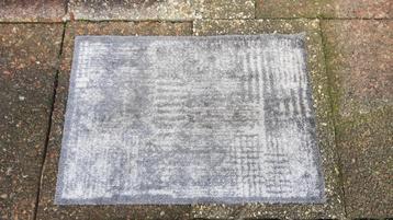Mooie Deurmat / Droogloopmat / Schoonloopmat / Entreemat beschikbaar voor biedingen
