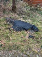 Dik Vijverfolie Epdm ca 7x10. M, Ophalen, Vijverfolie