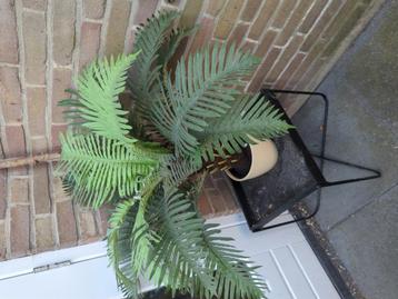 Artificial plant beschikbaar voor biedingen