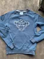 4 Jongens sweaters/hoodies maat 140, Kinderen en Baby's, Kinderkleding | Maat 140, Ophalen of Verzenden, Gebruikt, Jongen, Trui of Vest