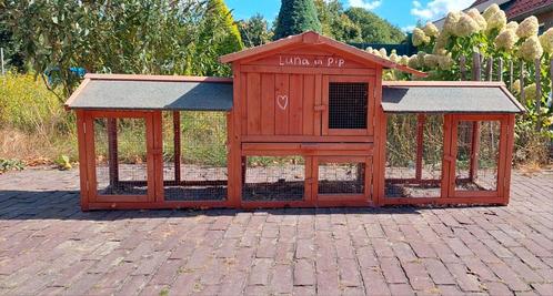 Te koop hok geschikt voor cavia's., Dieren en Toebehoren, Knaagdieren en Konijnen | Hokken en Kooien, Gebruikt, Hok, 90 cm of meer