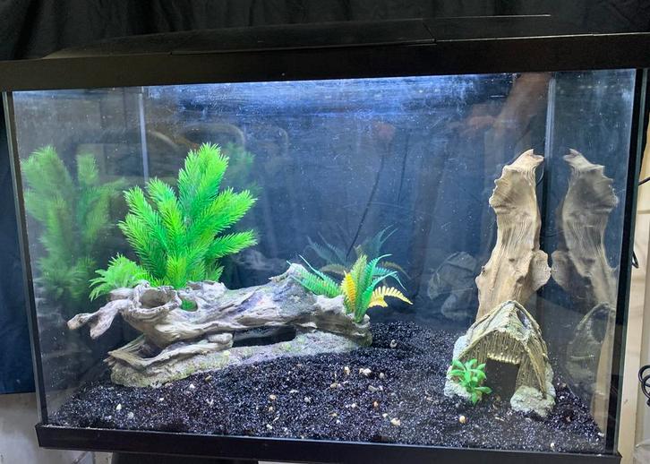 SuperFish start 70 aquarium, Dieren en Toebehoren, Vissen | Aquaria en Toebehoren, Gebruikt, Gevuld zoetwateraquarium, Ophalen