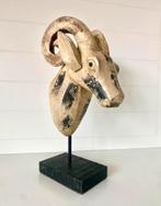 Houten Ram Hoofd Sculptuur, Ophalen of Verzenden